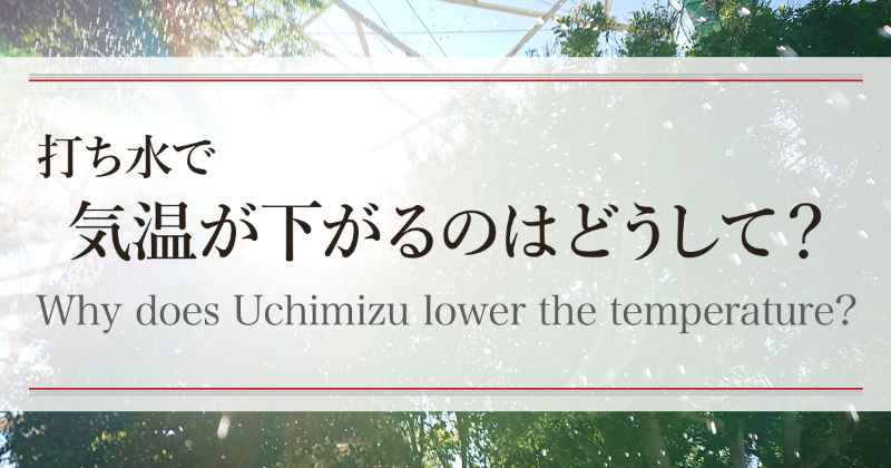 打ち水で気温が下がるのはどうして？　Why does Uchimizu lower the temperature?