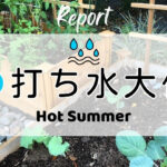 打ち水大作戦2026参加者からの感想 Hot Summer