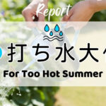打ち水大作戦2026参加者からの感想 For Too Hot Summer