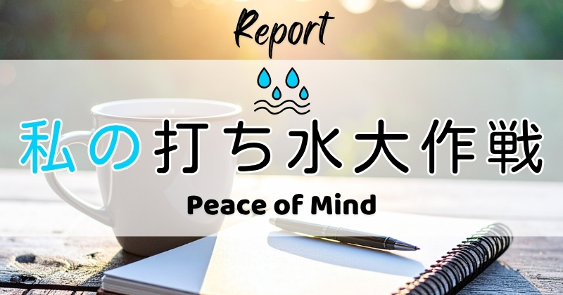 打ち水大作戦2026参加者からの感想 Peace of Mind